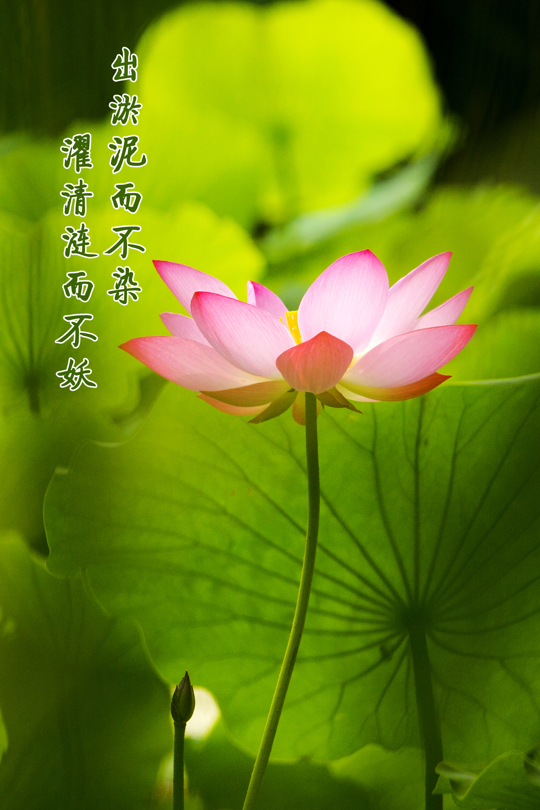 多多28官网-追求健康,你我一起成长